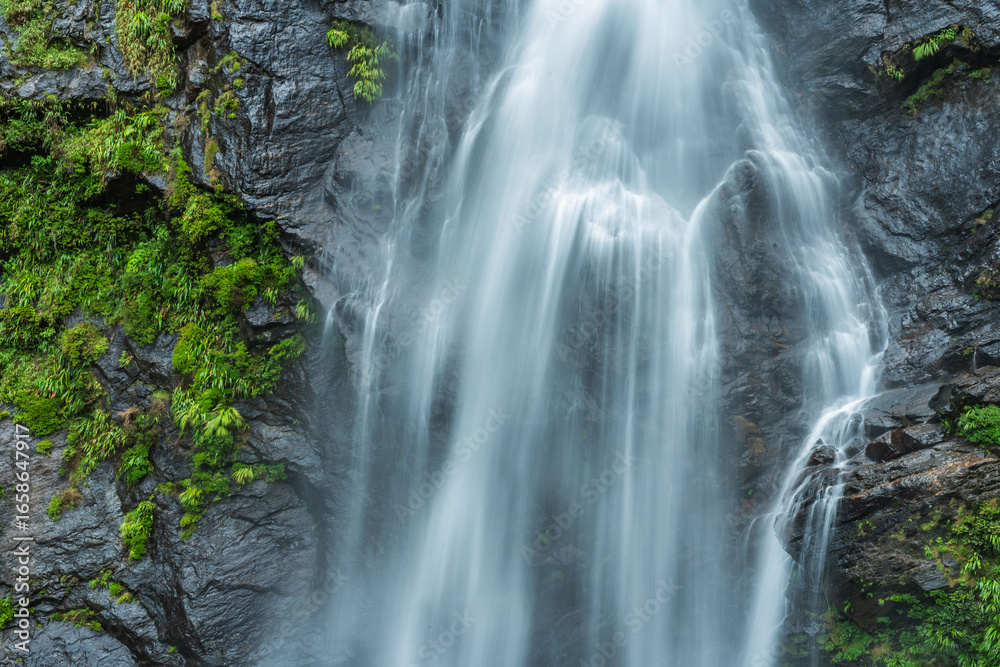 Obraz premium Beautiful waterfall in a tropical rainforest in a magical environment. Silk effect water in long exposure in the colombian jungles