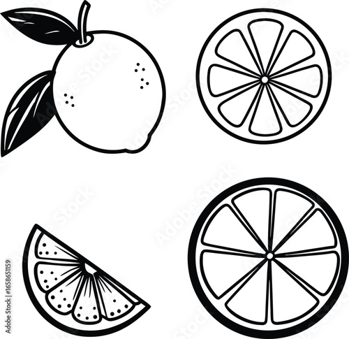 Black and white illustration of citrus fruits and slices
