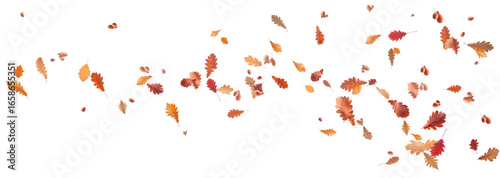Autumn falling leaves on transparent background, vector, png. Wave of falling leaves in the wind, leaf fall. Rowan berries, acorns, yellow leaves of oak, maple, birch, rowan.