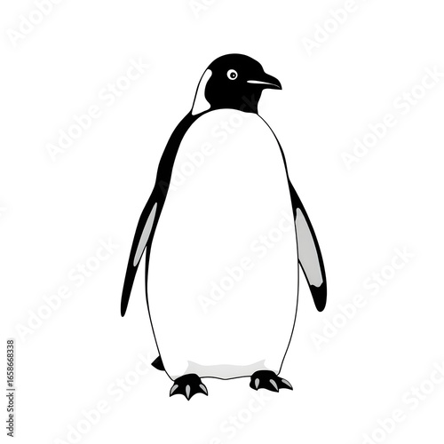 Cute penguin illustration isolated on white background