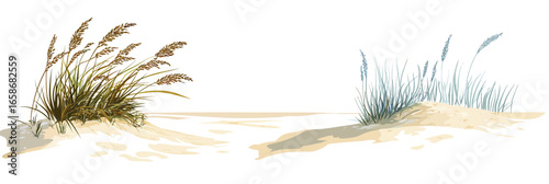 Natural sea oats and beach grass plants growing on sandy dunes with shadows and textured sand in flat minimalist vector style coastal landscape design