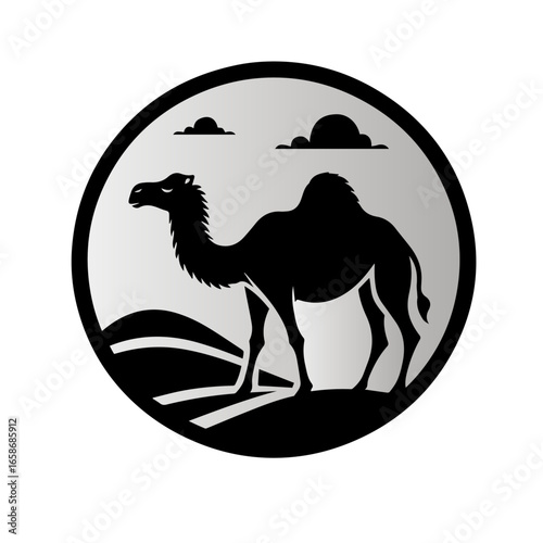 camel isolated on white