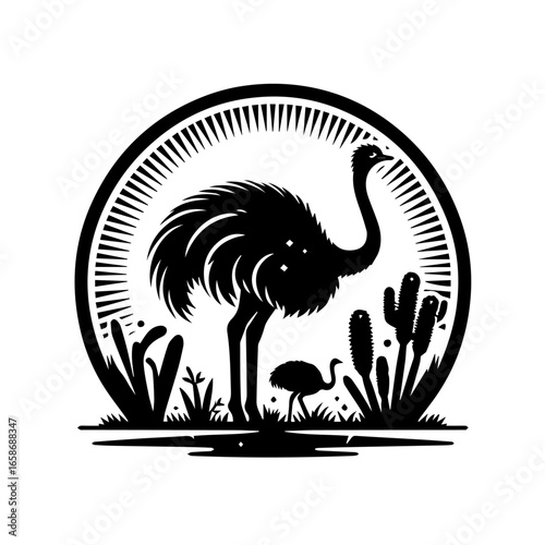 ostrich isolated on white