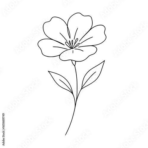 vector illustration of a flower