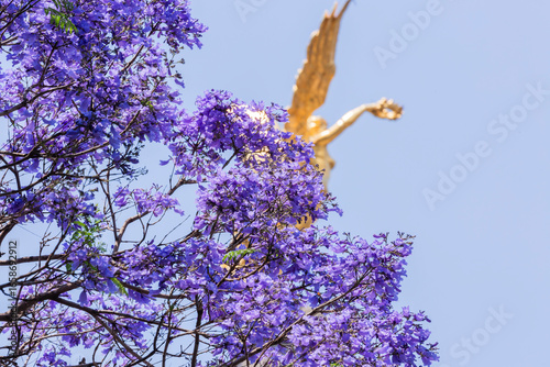 Árbol de Jacaranda en la Ciudad de México con el Ángel de la Independencia al fondo.