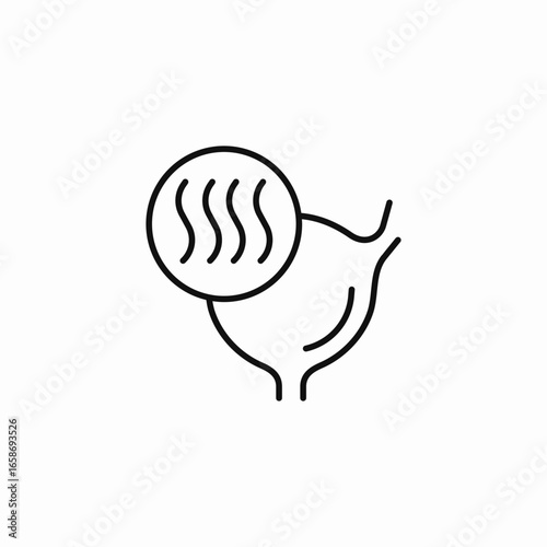 bladder inflammation heat icon sign vector