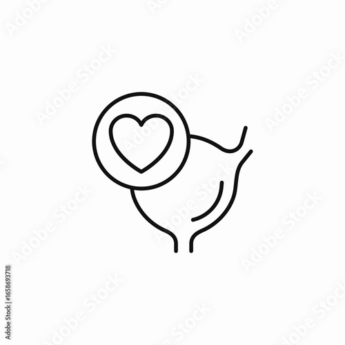bladder with heart icon sign vector