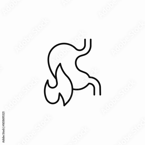 stomach with fire icon sign vector