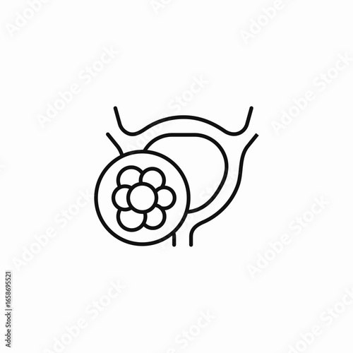 uterus with infertility icon sign vector