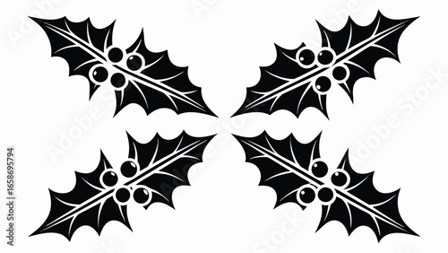 Black holly leaves with berries white