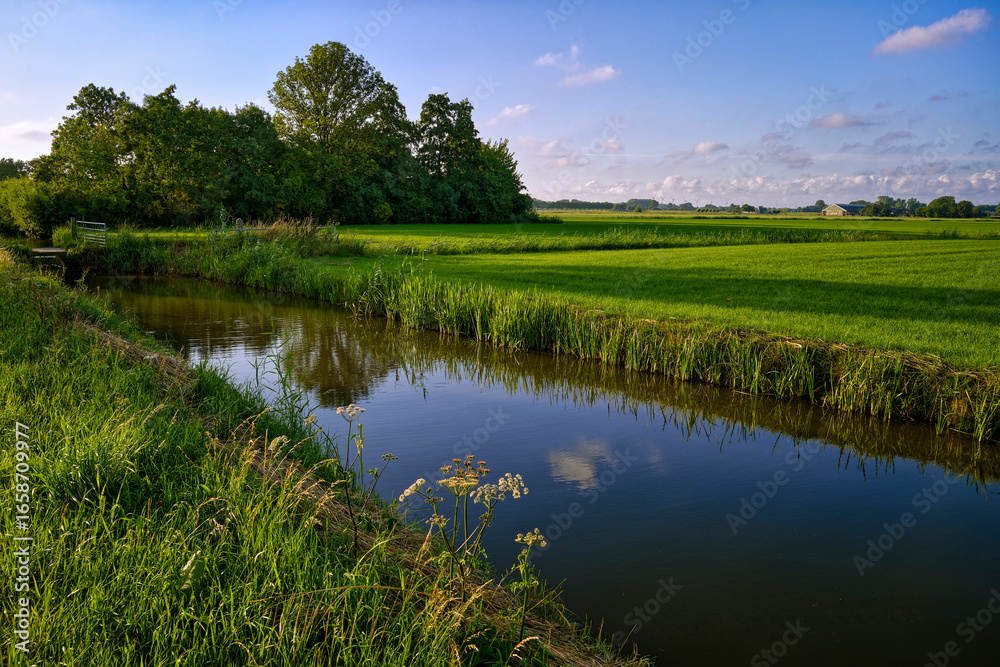 Fototapeta premium summer landscape with river