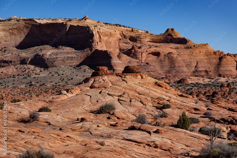 Fototapeta premium Eroded Red Rock Formations in Coyote Buttes, Paria Canyon-Vermilion Cliffs Wilderness, Arizona, USA – Scenic Southwest Desert Landscape Under Clear Sky