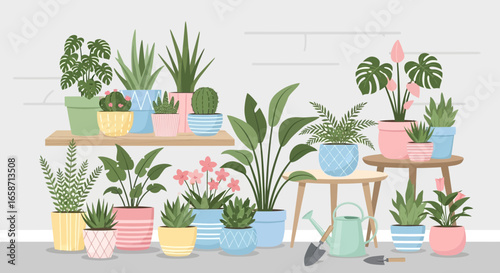 Assorted Houseplants In Colorful Pots On Shelves And Table