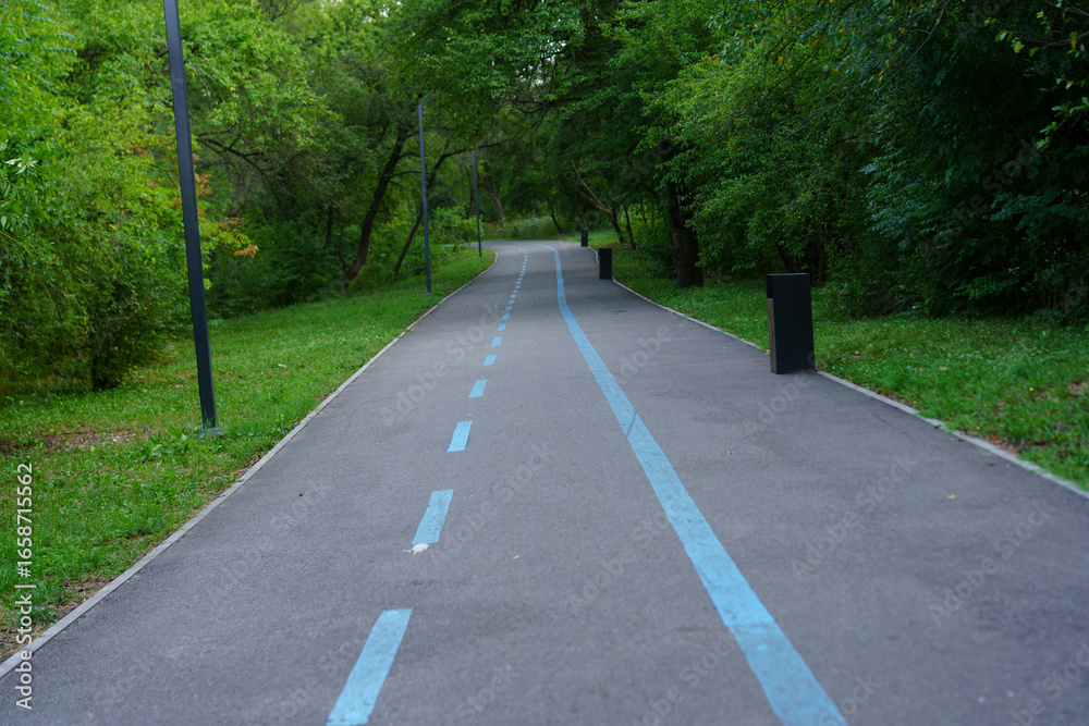 Obraz premium Peaceful walking and biking path surrounded by lush greenery in a city park