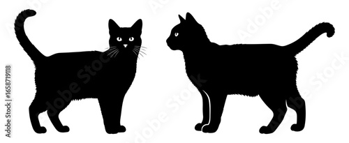 Vector art of two black cat silhouettes standing