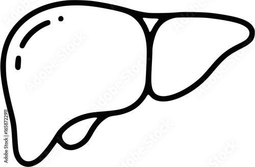 Human Liver Anatomy Detailed Line Art Illustration