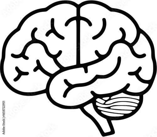 Human Brain Illustration A Simple Black and White Outline Depicting the Anatomy of the Brain