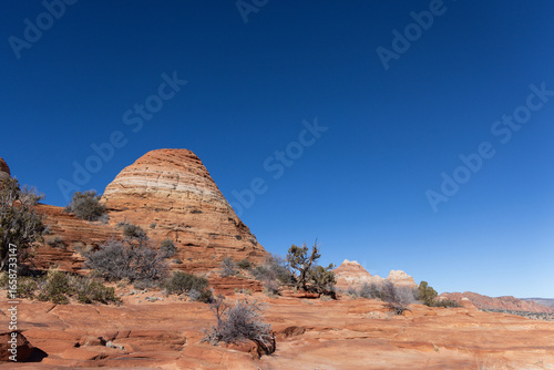Rounded Sandstone Dome and Desert Vegetation in Coyote Buttes, Paria Canyon-Vermilion Cliffs Wilderness, Arizona, USA – Southwest Red Rock Scenery