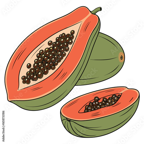  victor illustration of fruit on white background