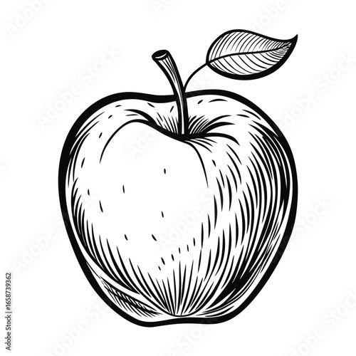 Bold black and white illustration of a ripe apple with a single leaf, perfect for vintage, natural, and healthy food branding projects needing a classic touch.