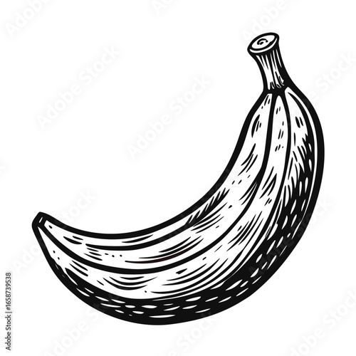 Discover this classic hand-drawn banana illustration, perfect for adding a touch of vintage charm and natural appeal to your designs, celebrating healthy eating and tropical vibes.
