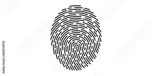 Detailed fingerprint pattern for biometric identification and security concepts white background