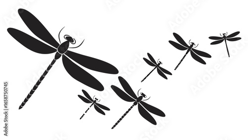 A collection of black silhouette dragonflies in various sizes flying across a white background