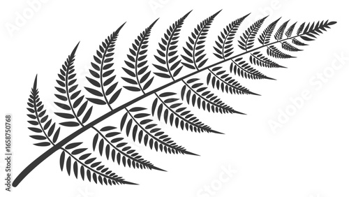 A detailed black silhouette of a fern frond on a white background