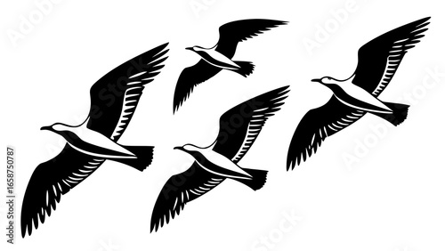A flock of four black and white seagulls flying in formation against a white background