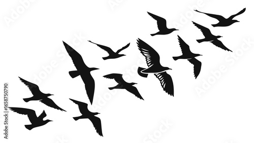 A flock of black seagulls in silhouette flying across a white background