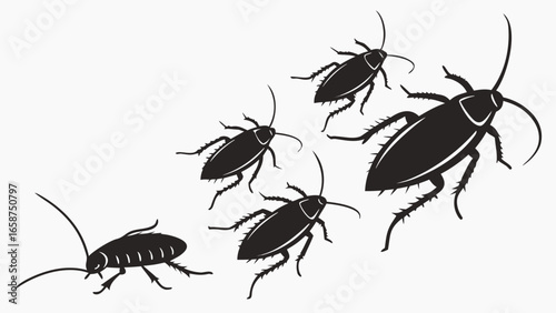 A group of black cockroaches in silhouette on a white background