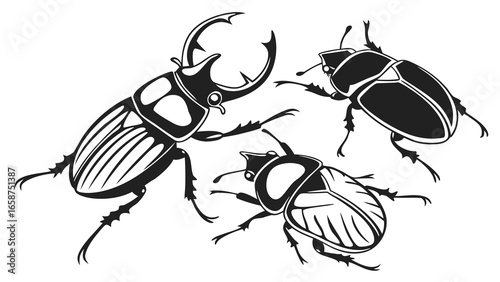 Three stylized black and white beetle illustrations with detailed bodies and legs