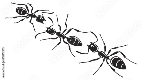 Three stylized black ants in a line on a white background graphic illustration