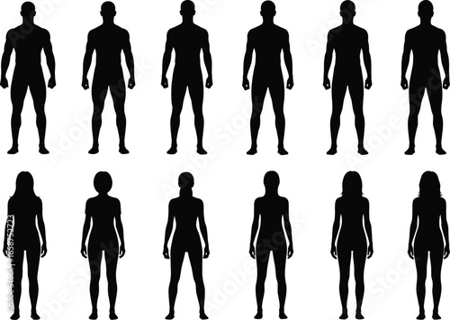 Human body silhouette set, male and female figures, neutral pose, black vector PNG, anatomy clipart, fashion, character design