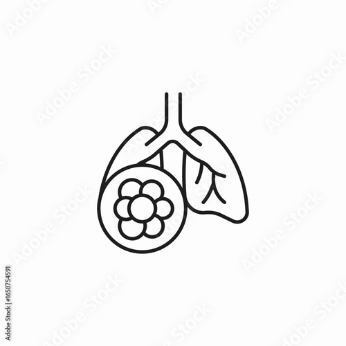 lungs respiratory system icon sign vector