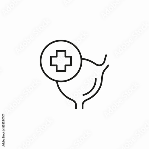 plus sign stomach icon sign vector