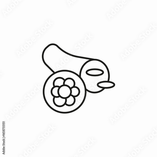 thyroid organ disease icon sign vector
