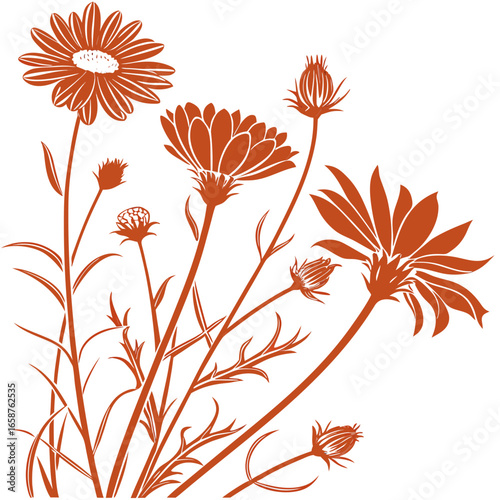 coreopsis aster orange with leaves
