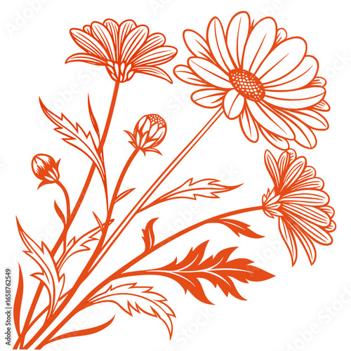 floral background with coreopsis aster orange
