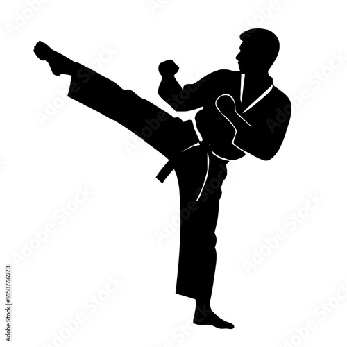 Karate Kick Silhouette - A Dynamic Symbol of Martial Arts Action and Training