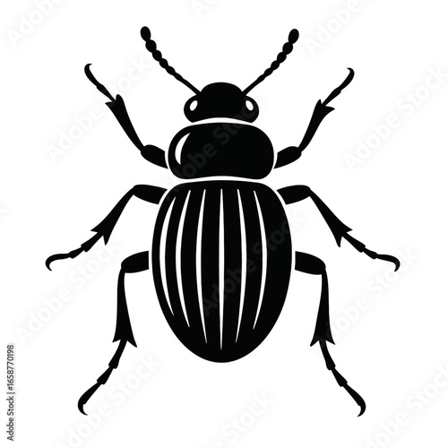 Sleek Beetle Vector Art - Clean Black and White Insect Design