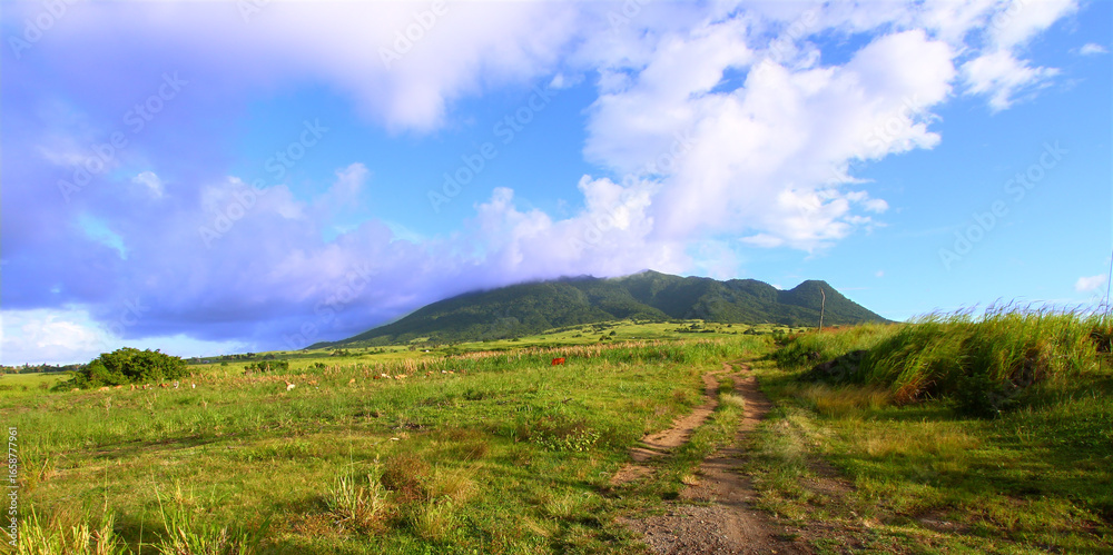 Fototapeta premium Mount Liamuiga Landscape on the Caribbean island of Saint Kitts