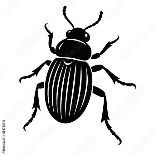 Contemporary Striped Beetle - Bold Black and White Insect Art