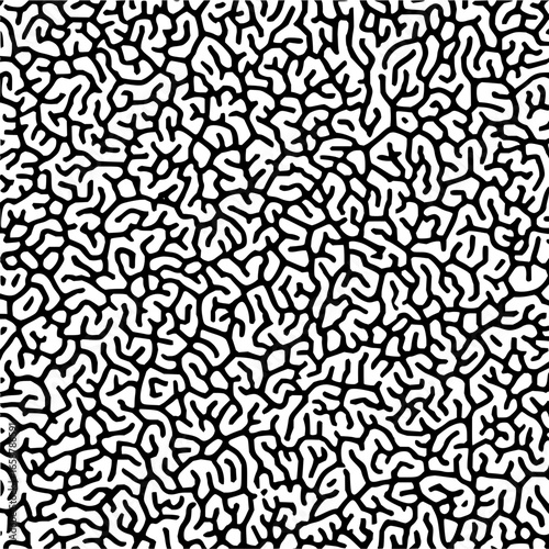 Black and white organic pattern creating a complex and intricate visual texture design