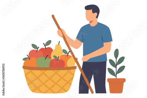 Harvesting fresh rambutan fruit from a tree using a traditional sickle