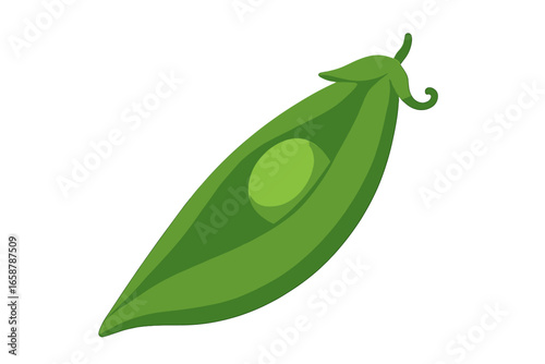 Bitter melon illustration in isolation, depicting a healthy food item known as bitter gourd, a vegetable commonly used in Asian cuisine art