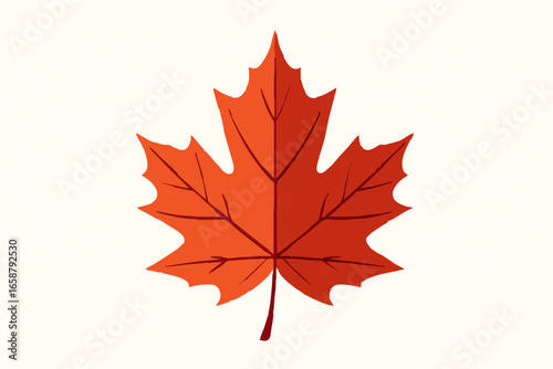 Autumn Maple Leaf Displaying Vibrant Fall Colors


