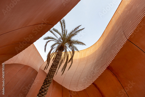 Palm tree in concrete structure in Masdar city, Abu Dhabi, UAE