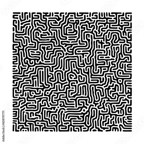 Complex black and white turing pattern with dense lines and intricate formations creating a maze like design