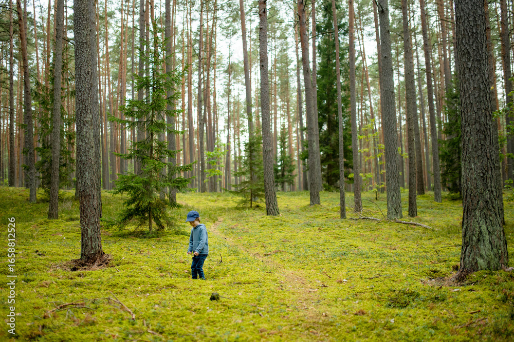 Fototapeta premium Young boy explores a lush forest in casual clothes, immersed in the simple wonders of nature and the freedom of the outdoors.